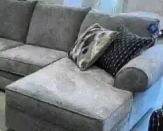 sofa couch