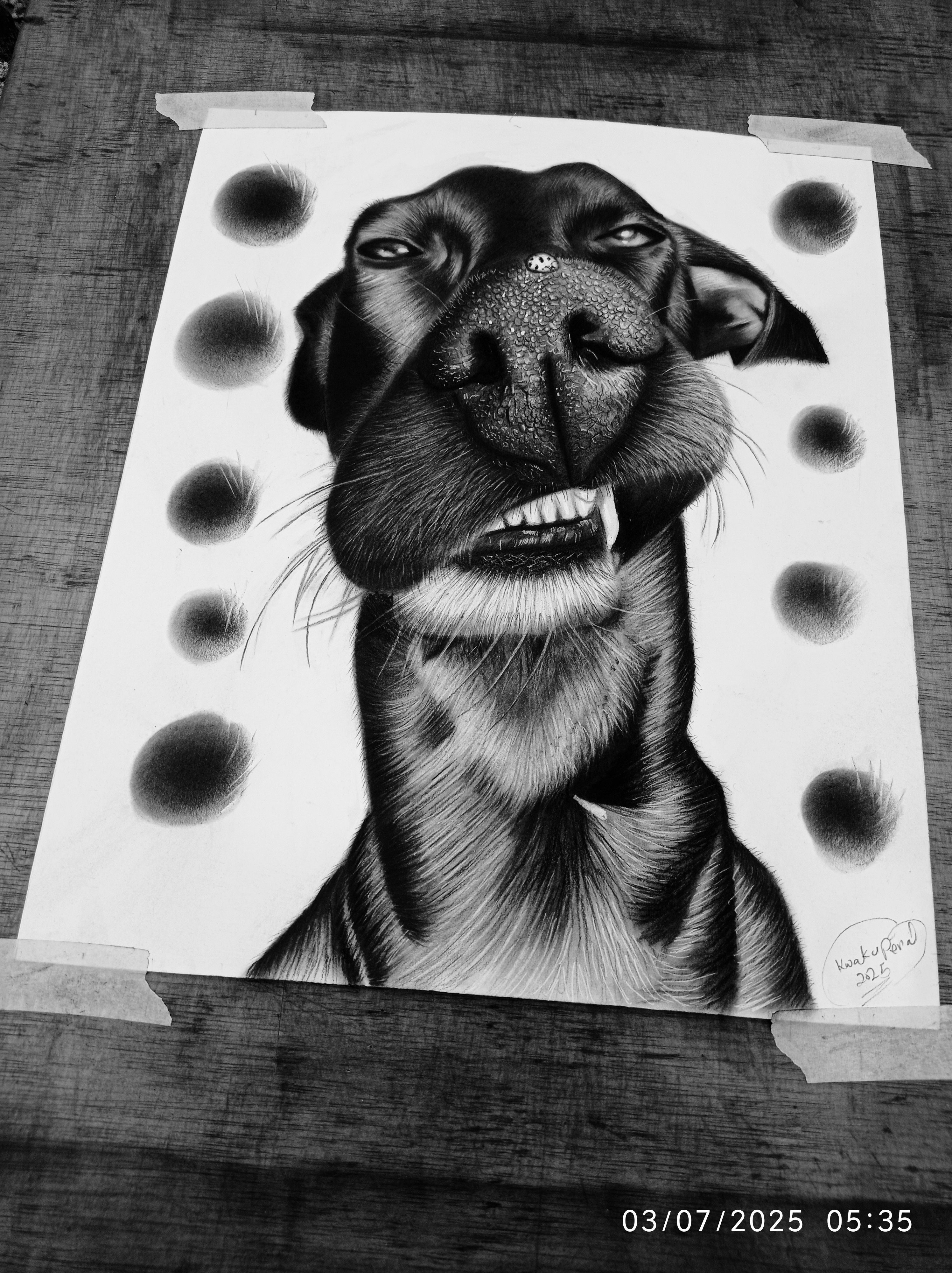 how to do a realistic dog with graphite and charcoal