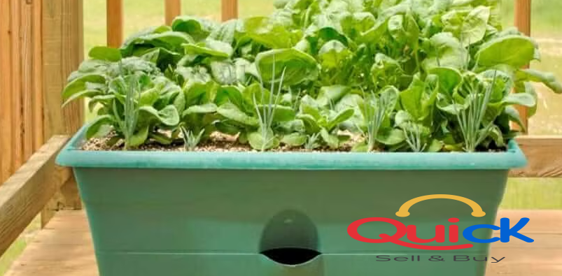 Self Watering Planter