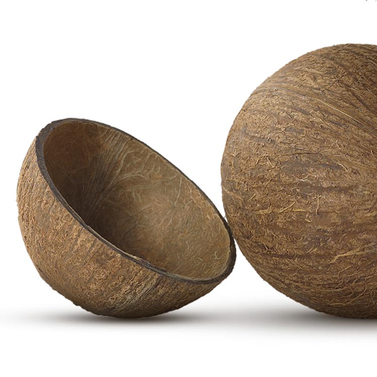coconut shell
